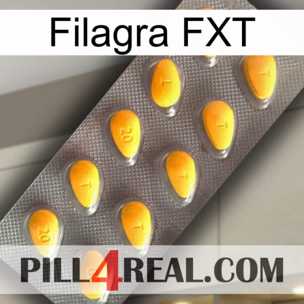 Filagra FXT cialis1.jpg